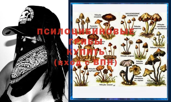 дурь Киренск