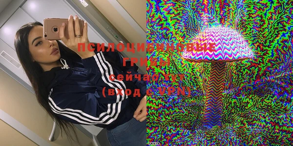 соль курить ск Козловка