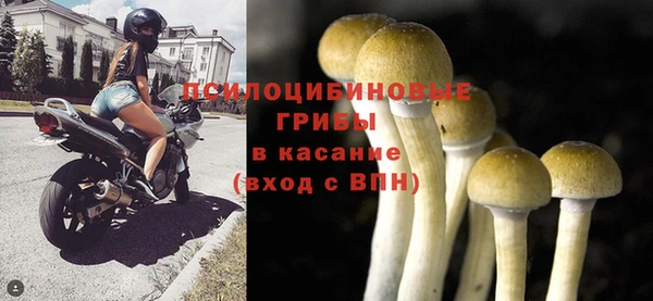 мяу мяу мука Козельск