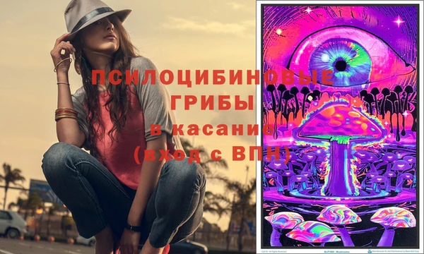 a pvp Кинешма