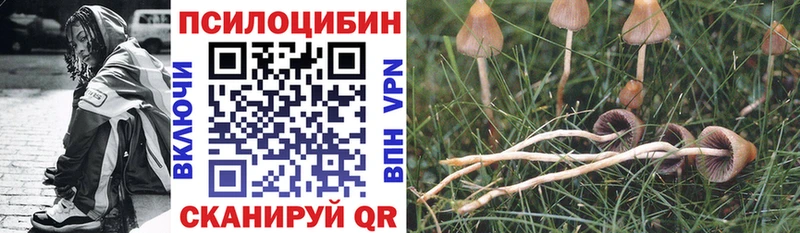 Псилоцибиновые грибы Cubensis купить наркотики цена Кимры