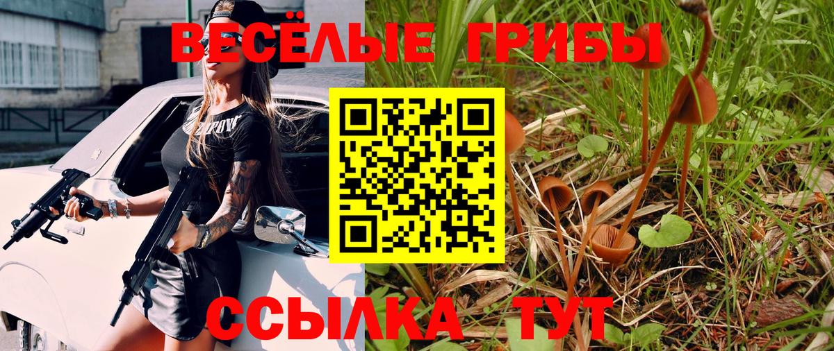 Кимры  Псилоцибиновые грибы GOLDEN TEACHER  Вход с VPN  Галлюциногенные грибы GOLDEN TEACHER 